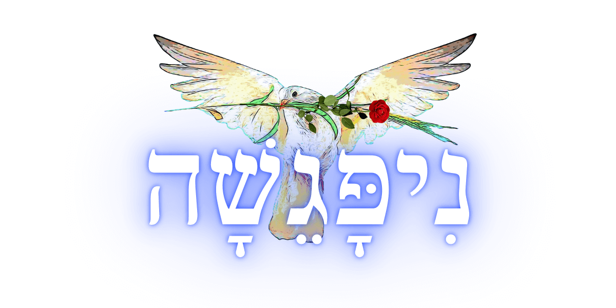 מחברים מחדש את הקשר - ניפגשה